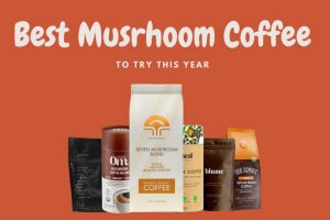 Best Mushroom Coffee for Weight Loss