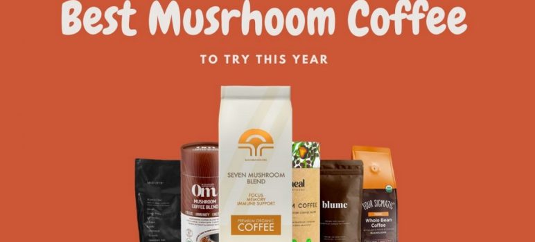Best Mushroom Coffee for Weight Loss